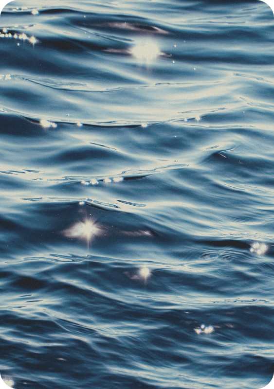 Picture of waves